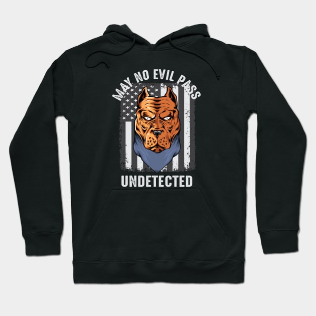 May no evil pass undetected Hoodie by Marioma